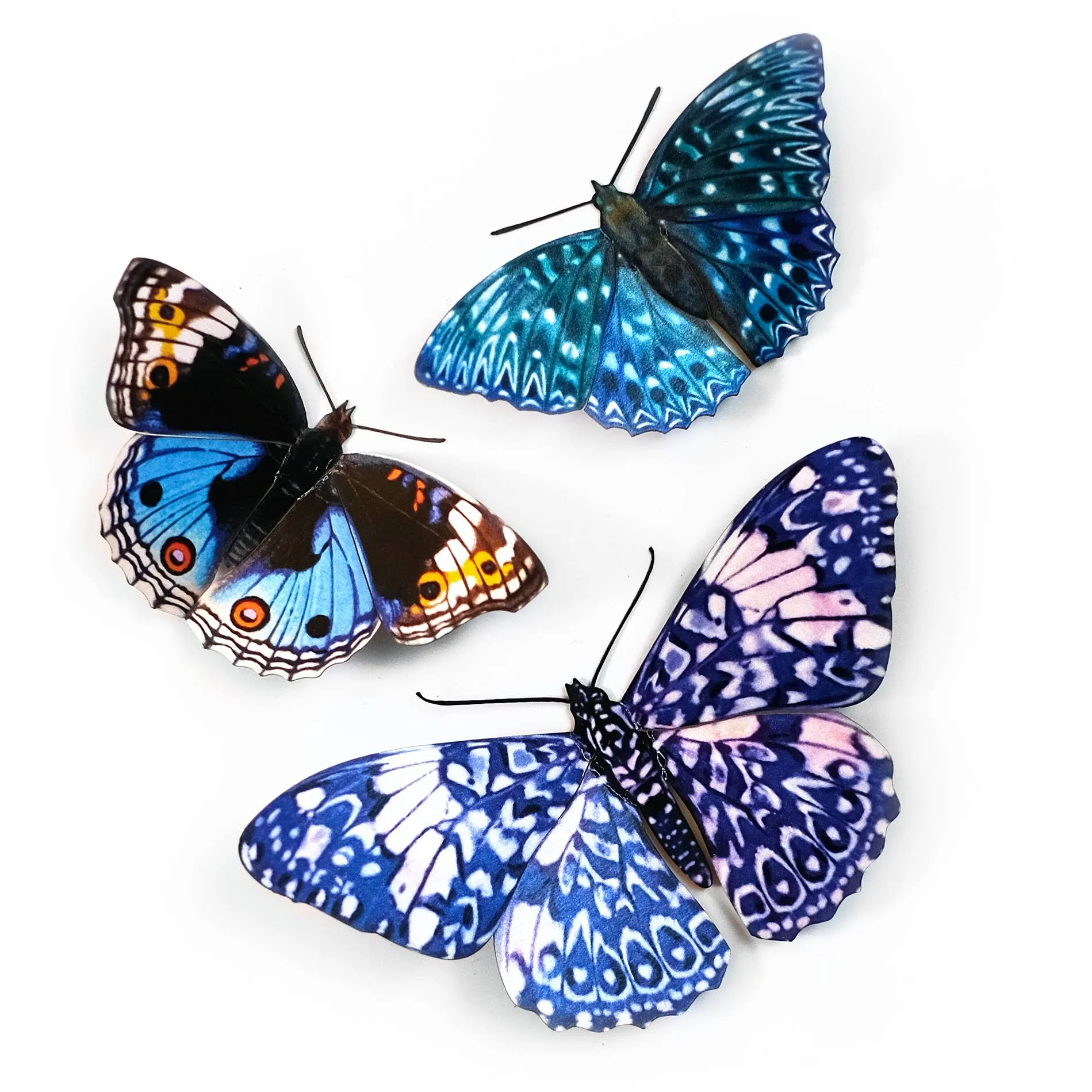 'Celestial' Butterfly Set