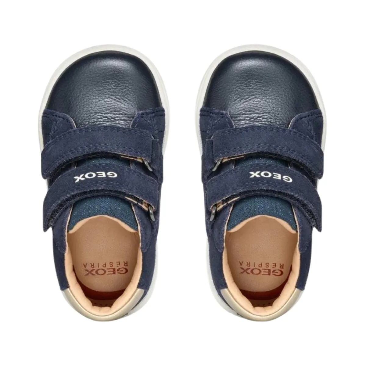 Geox Toddler's (Sizes 21-24) Biglia Navy/Platinum Stars